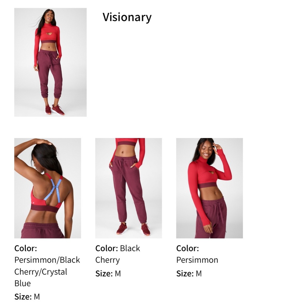 Visionary Fabletics Set